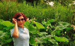 含羞草免费观看视频2019